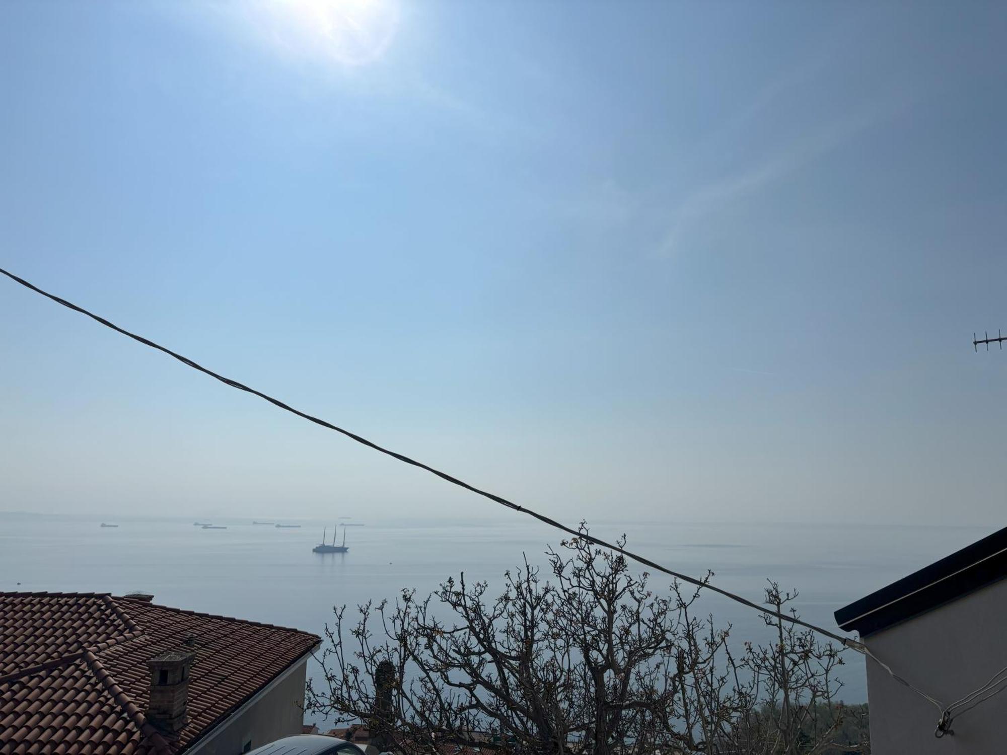 Affitto Turistico Via Bonomea 219-1 Daire Trieste Dış mekan fotoğraf